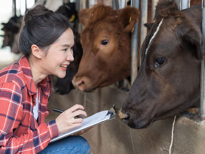 Animal Welfare
